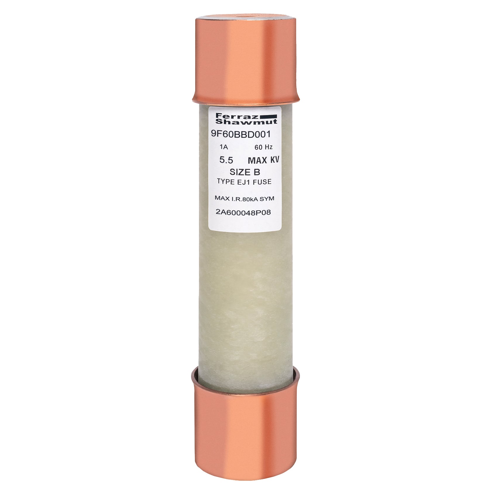 MV PT Fuse 5500VAC 1A Ferrule Series: BBD Visual Indicator