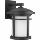 Medium wall lantern with etched white linen glass. Includes dark sky shield for full cut-off illumination or remove for a traditional lighting effect.
