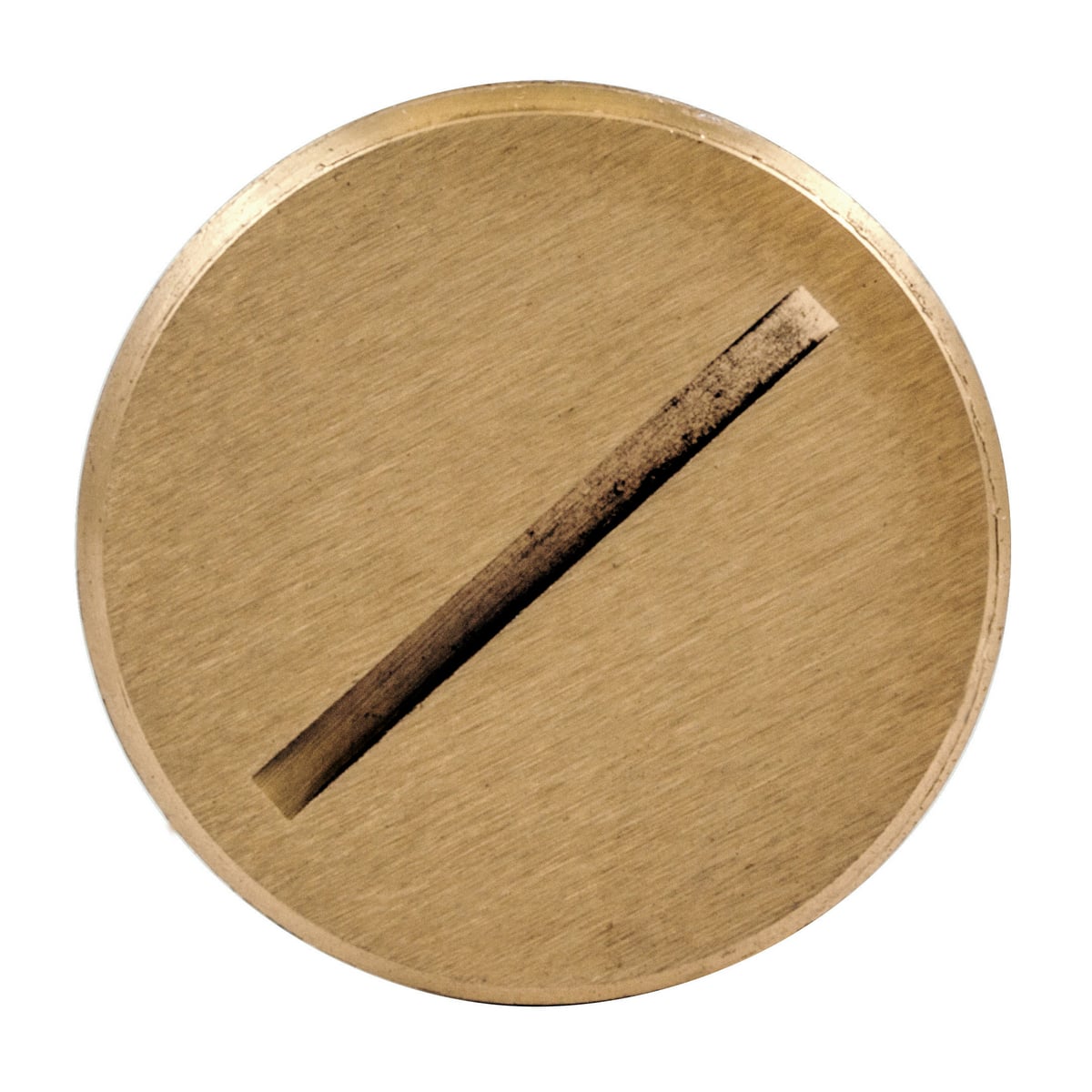 S5007 Standard Sized Flush Plug, For Use With S3725, SA3725, S3625 and SA3625 Cover, Brass
