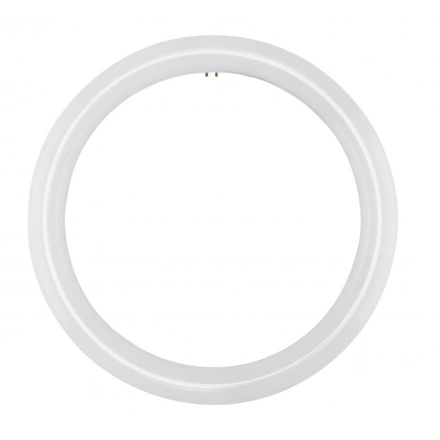 LED Circline - 16 Watt - T9 - 4000K - G10Q Base - 120-277 Volts - Ballast Bypass