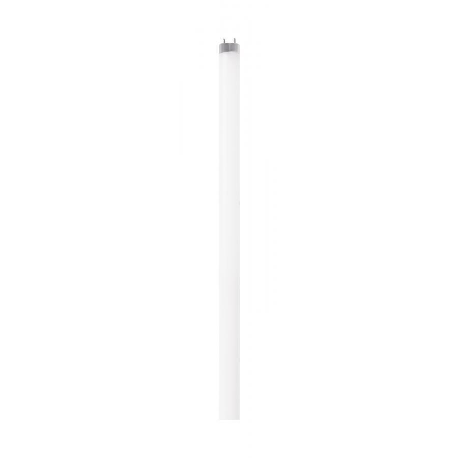 12 Watt T8 LED -  4000K -  120-277 Volts -  Medium Bi Pin Base -  Type C -  External Driver Required