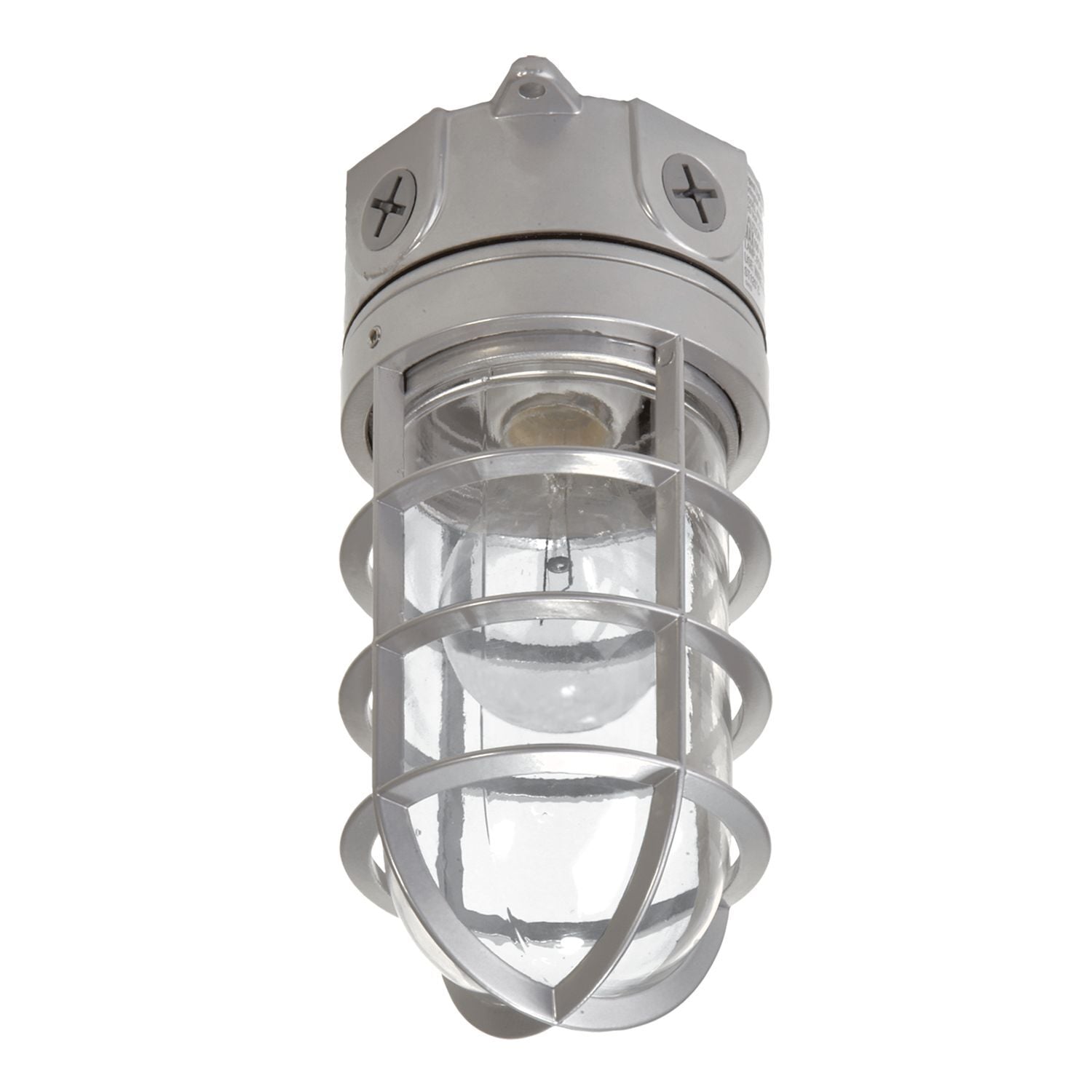 100 Watt Vapor Tight floodlight