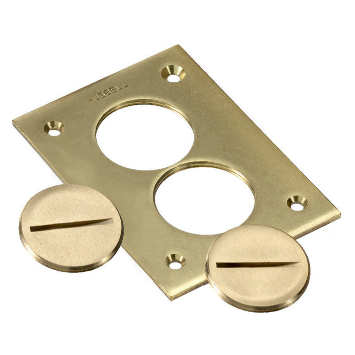 Floor Box Crown Plug 1"
