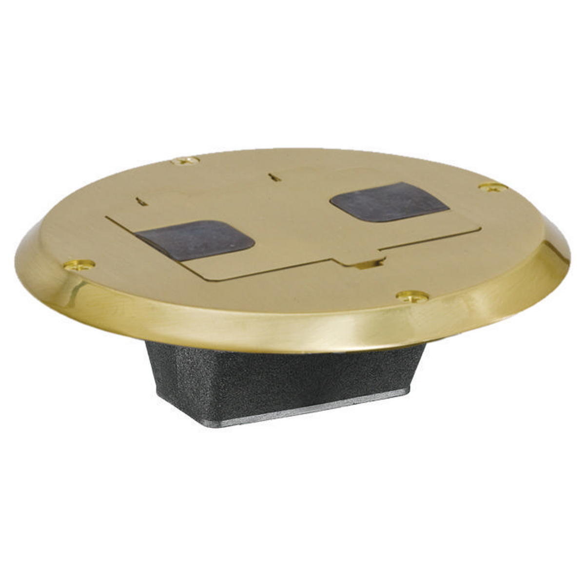 TradeSelect, Floor Box with Flange and Door, Brass Plated