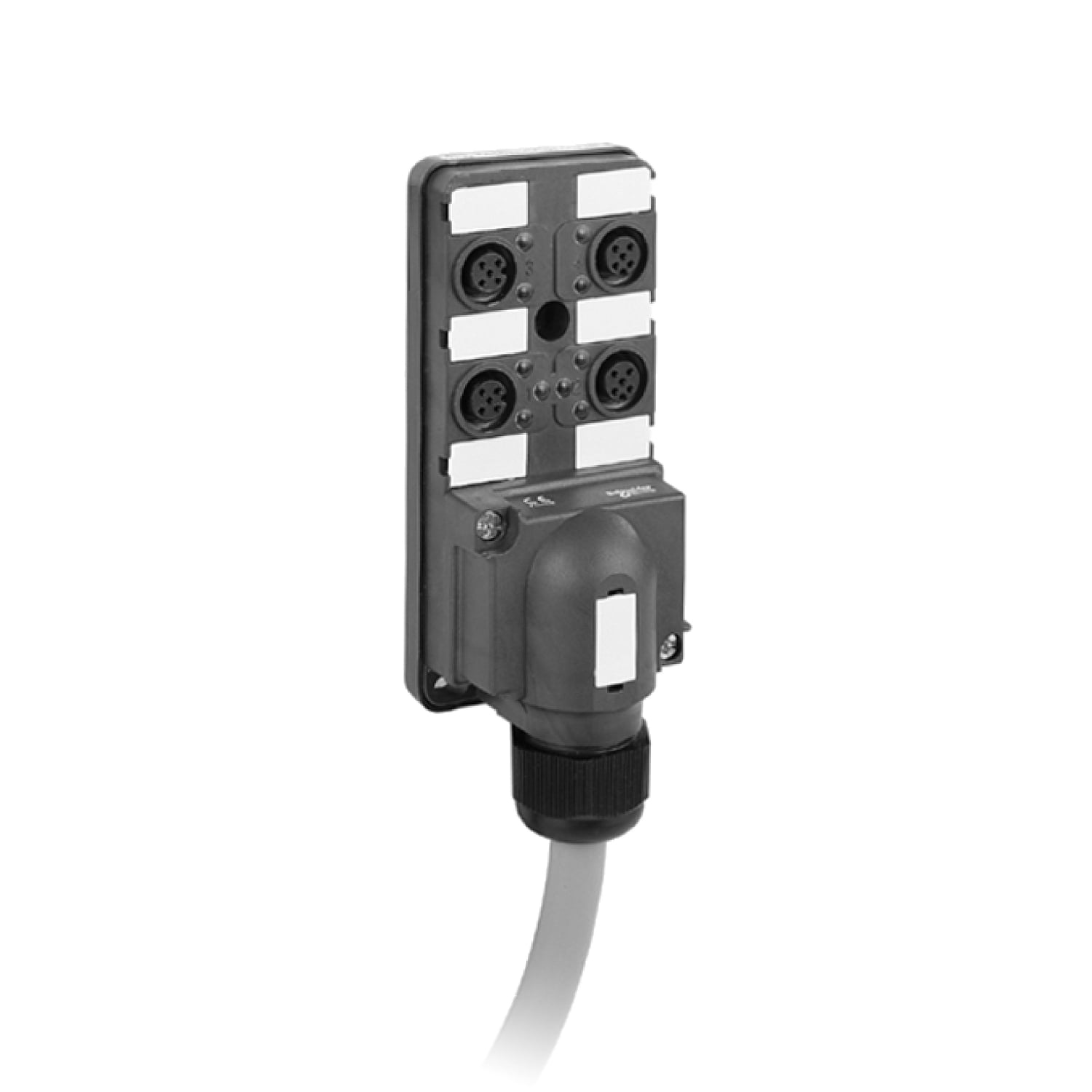 IP67 passive splitter box - cable 10 m - with 4 channels M12 connector - Led