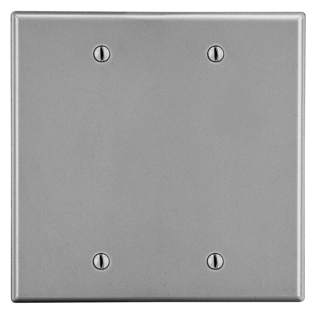 Wallplate, 2-Gang, 2 Box Mount Blank, Gray