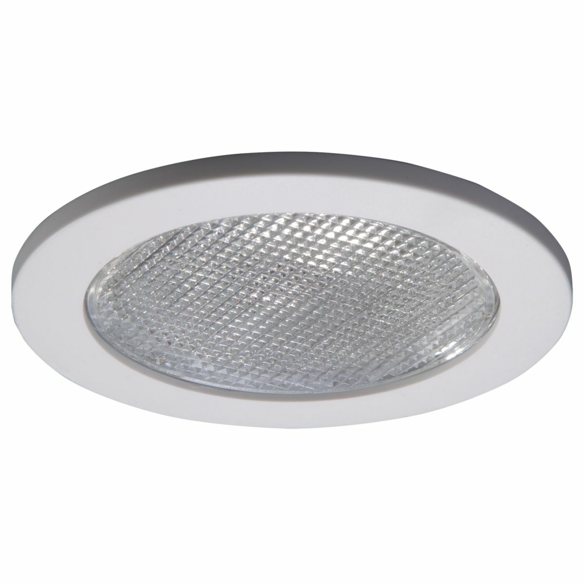 4" Trim Lensed Showerlight 120V White Trim with Glass Lens