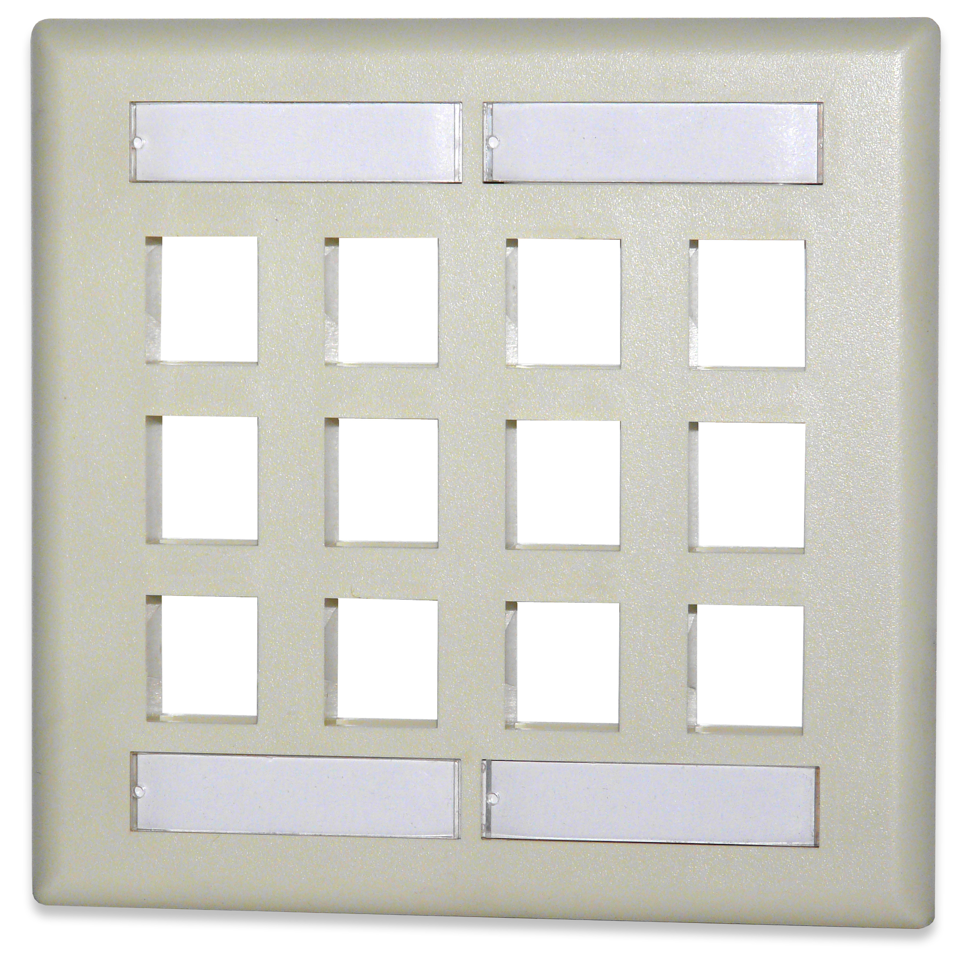 12-Port Double Gang Faceplate w/Labeling, Ivory