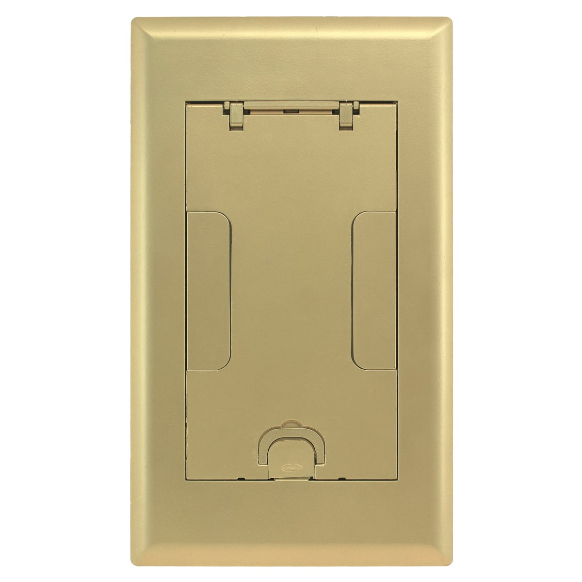 Raised Access or Wooden Floors, Recessed, 2-Gang AFB Series, Cover Assembly, Brass Powder Paint Finish