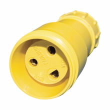 PLGRCPT NMT-PLUG WT 20A 125V 2W3P FEM