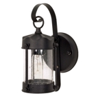 1 Light - 11 - Wall Lantern - Piper Lantern w/ Clear Seed Glass - Textured Black