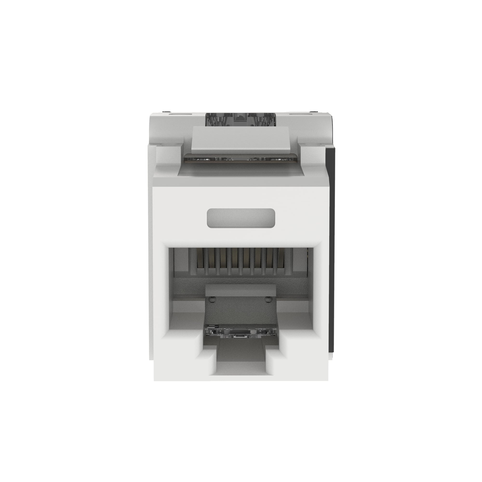 Category 6A NetKey Punchdown Module, WH 