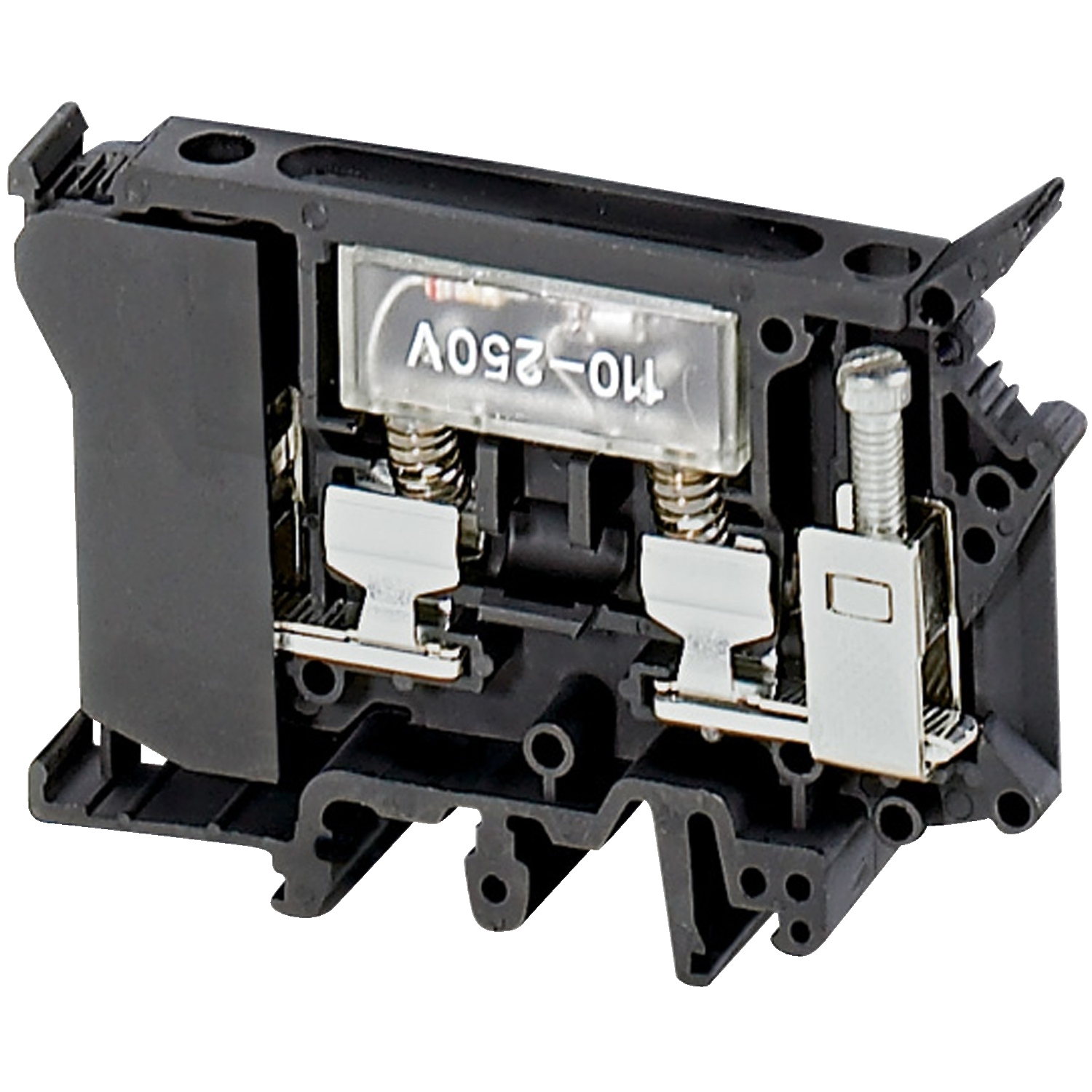 Terminal Blocks, Linergy, fused block, 10A, 600V, screw terminal, for 6.3X32mm fuse, with 110/250V LED, 2 points, black