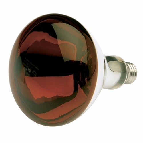 Incandescent Shatter Proof Lamp, Designation: 250R40/HR/TF, 120 V, 250 WTT, R40 Shape, E26 Medium Base, Red Heat, C-9 Filament, 6000 HR, 6-7/8 IN Length, 5 IN Diameter