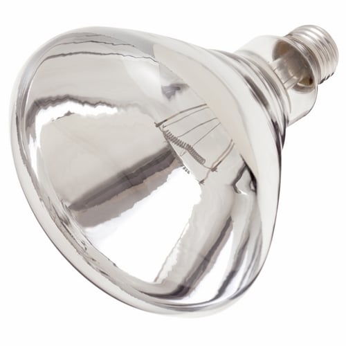 Incandescent Shatter Proof Lamp, Designation: 250R40/1/TF, 120 V, 250 WTT,  R40 Shape, E26 Medium Base, Clear Heat, C-9 Filament, 6000 HR, 6-7/8 IN ..., image size:1200x1200