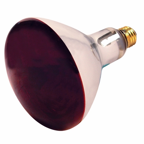Incandescent Reflector Lamp, Designation: 250R40/HR, 120 V, 250 WTT, R40 Shape, E26 Medium Base, Red Heat, C-9 Filament, 6000 HR, 6-1/2 IN Length, 5 IN Diameter