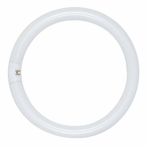 Fluorescent T9 Circline Lamp, Designation: FC8T9/D/RS, 22 WTT, T9 Shape, G10q 4-Pin Base, 12000 HR, Lumens: 980 LM Initial, Lumens: 765 LM Mean, 6500 DEG K Color Temperature, Daylight 76 CRI, 8 IN Length, 1-1/8 IN Diameter