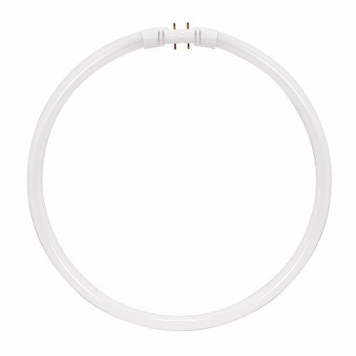 Fluorescent T5 Circline High Performance Lamp, Designation: FC22T5/841, 22 WTT, T5 Shape, 2GX13 2GX13 (4-Pin) Base, 12000 HR, Lumens: 1900 LM Initial, Lumens: 1900 LM Mean, 4100 DEG K Color Temperature, Cool White 82 CRI, 8 IN Length, 5/8 IN Diameter