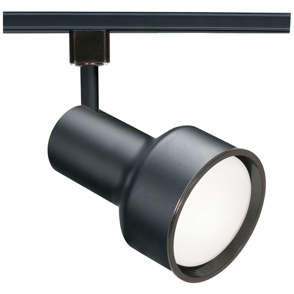 1 Light - R30 - Track Head - Step Cylinder - Black
