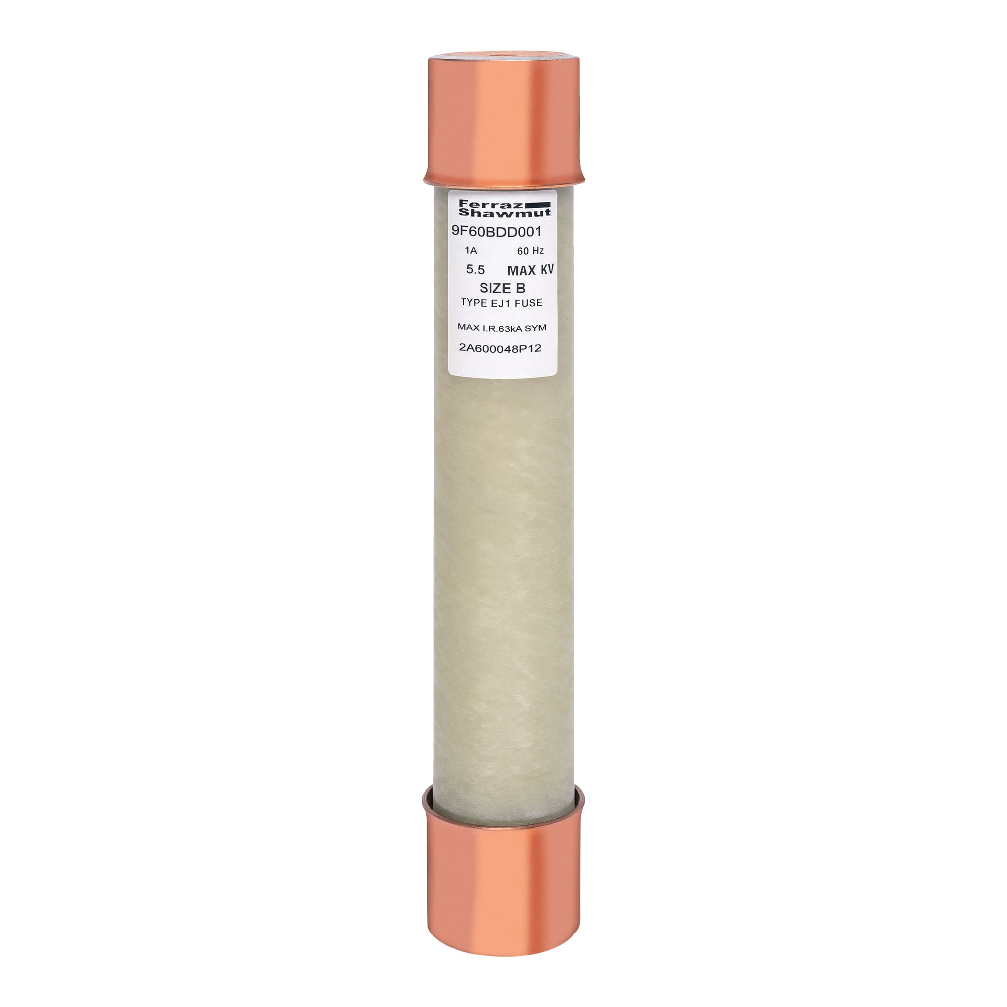 MV PT Fuse 5500VAC 1A Ferrule Series: BDD Visual Indicator