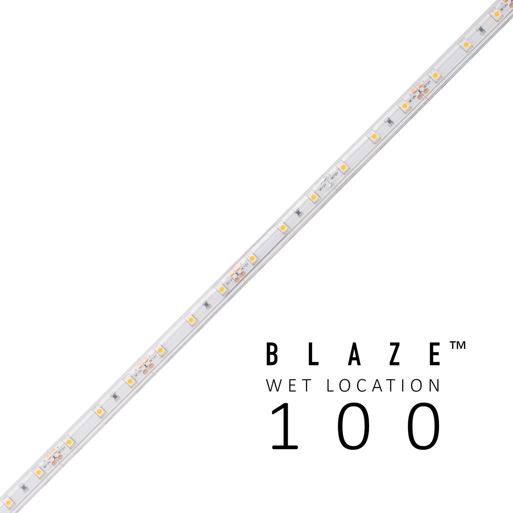 BLAZE 100 Wet Location Strip Light, 12V, 5000K, 16.4 ft. Spool