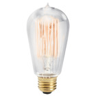 Accessory 60W 1 Antique Clear Glass Light Bulb. Perfect to add a vintage feel to your light fixture.