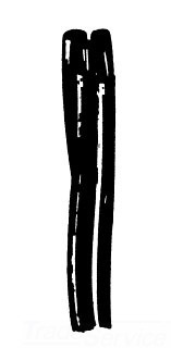 ACSR Quadruplex Service Drop Cable, 2 AWG, 4 Conductors, Palomino Trade Name, XLP, 1000 Foot Reel