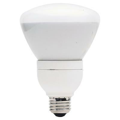 66665 FLUORESCENT ENERGY EFF