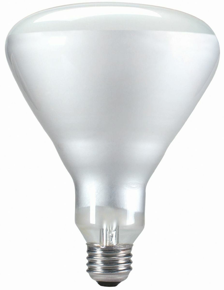 Reflector Flood  Philips Family of Specialty Incandescents provide the perfect light for dramatic accents and display lighting as well as general lighting in a variety of applications. These flood lamps produce homogeneous beams of high intensity for general illumination. For parties, holiday lighting and decorative effects.;Available in BR, R and PAR shapes in 45W, 50W, 65W, 85W, 120W and 300W versions. Ideal for indoor recessed and track fixtures and outdoor landscape fixtures.