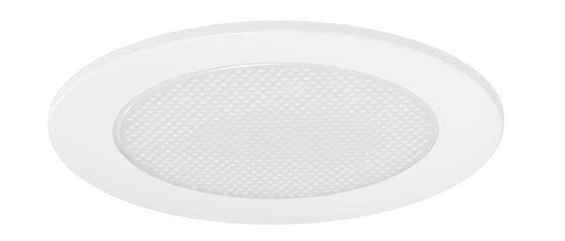 4" Low Voltage Stippled Opal Lens Shower