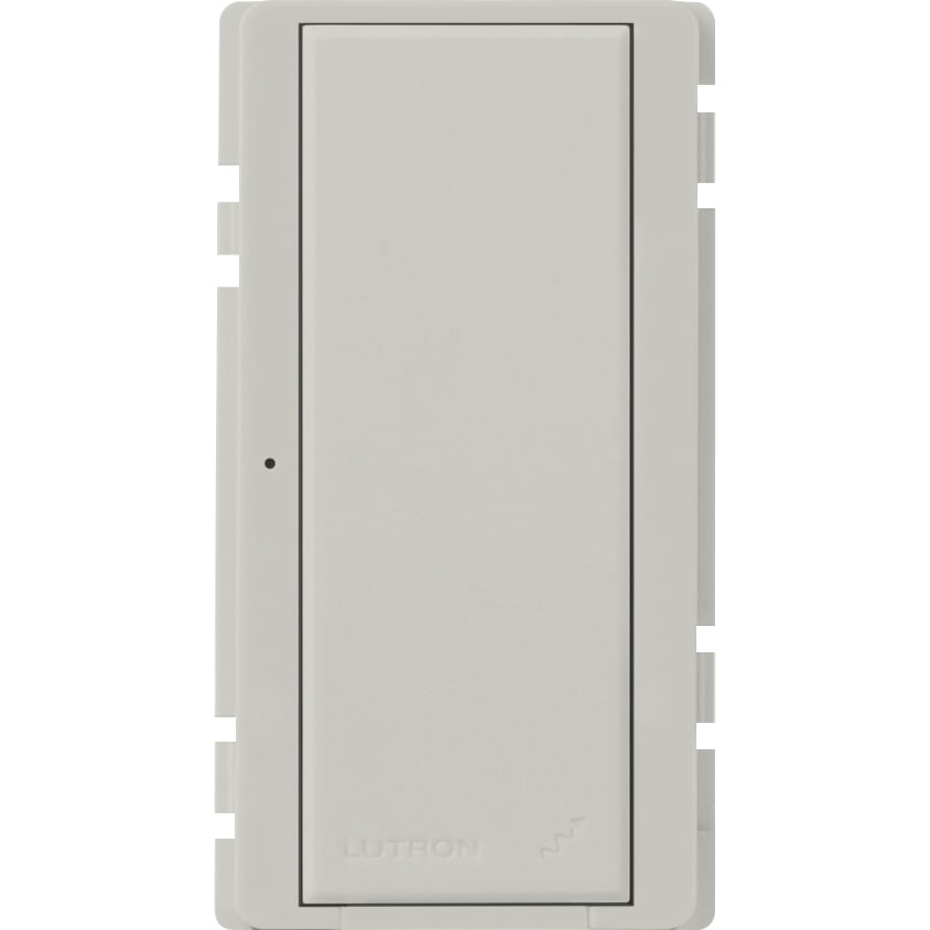 Replacement Button Kit for RadioRA 2 or HomeWorks switches in palladium
