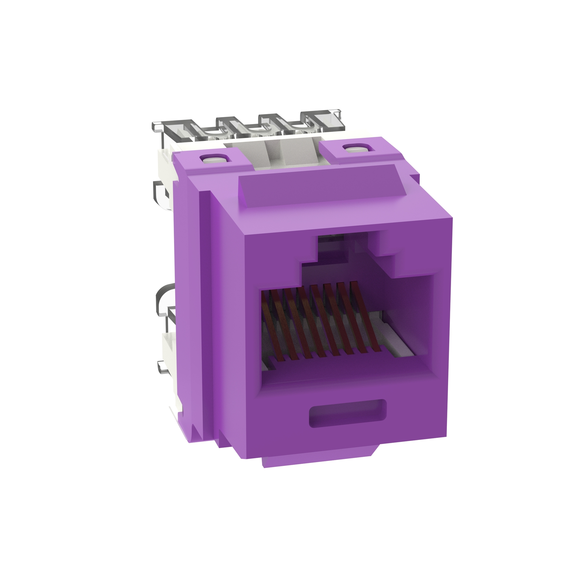NK Cat 6 punchdown jack module - Violet 