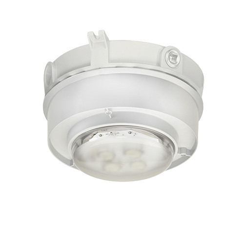 IMLED LP 4K LM 1.25" P5 25 DEG STAN
