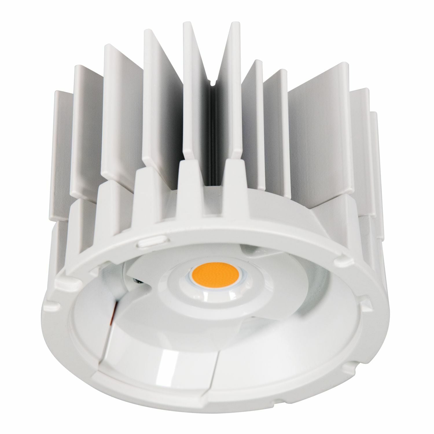 6" Module, 500-2500 Lumens, 80 CRI, 4000K CCT.