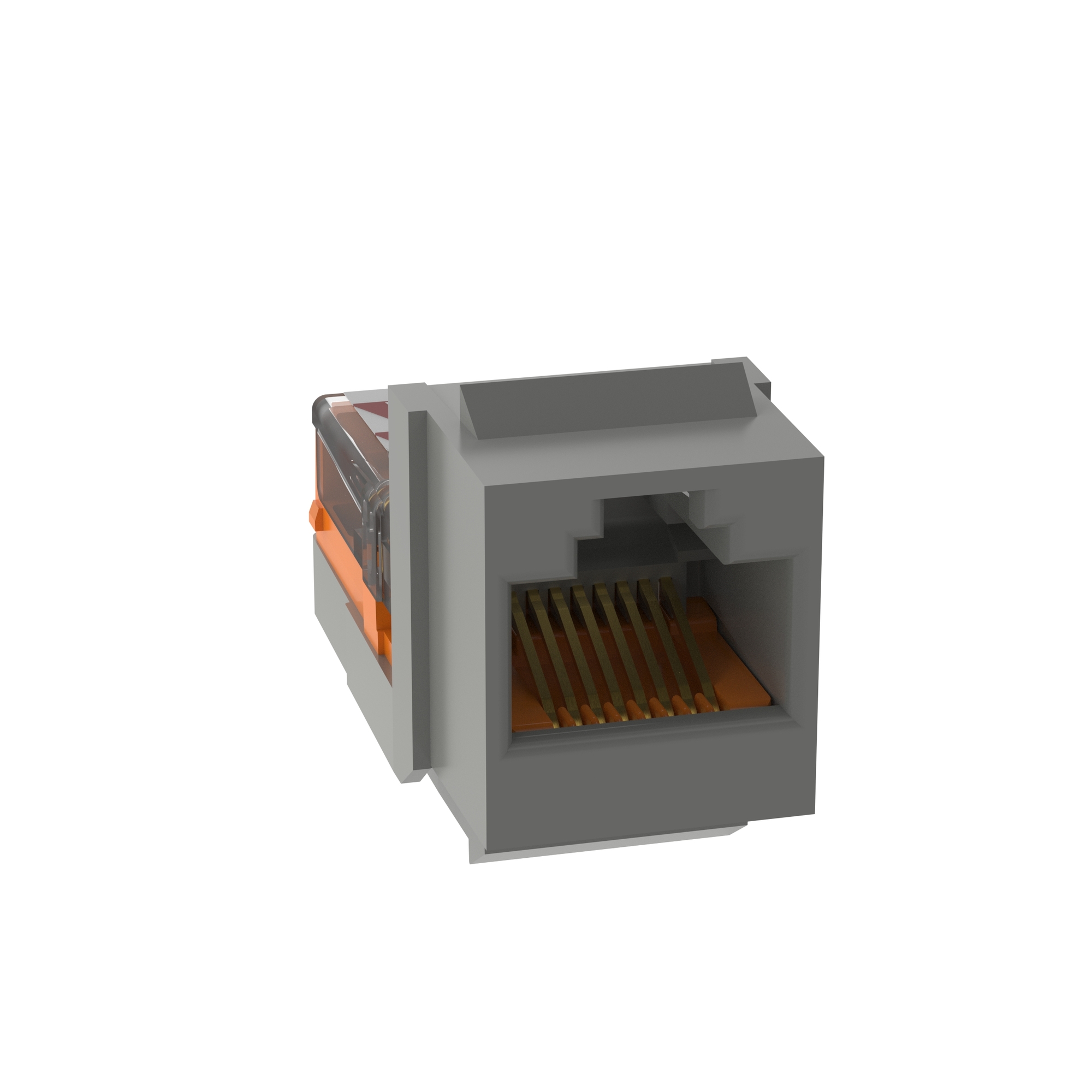 NK Cat 5e leadframe jack module - Intern