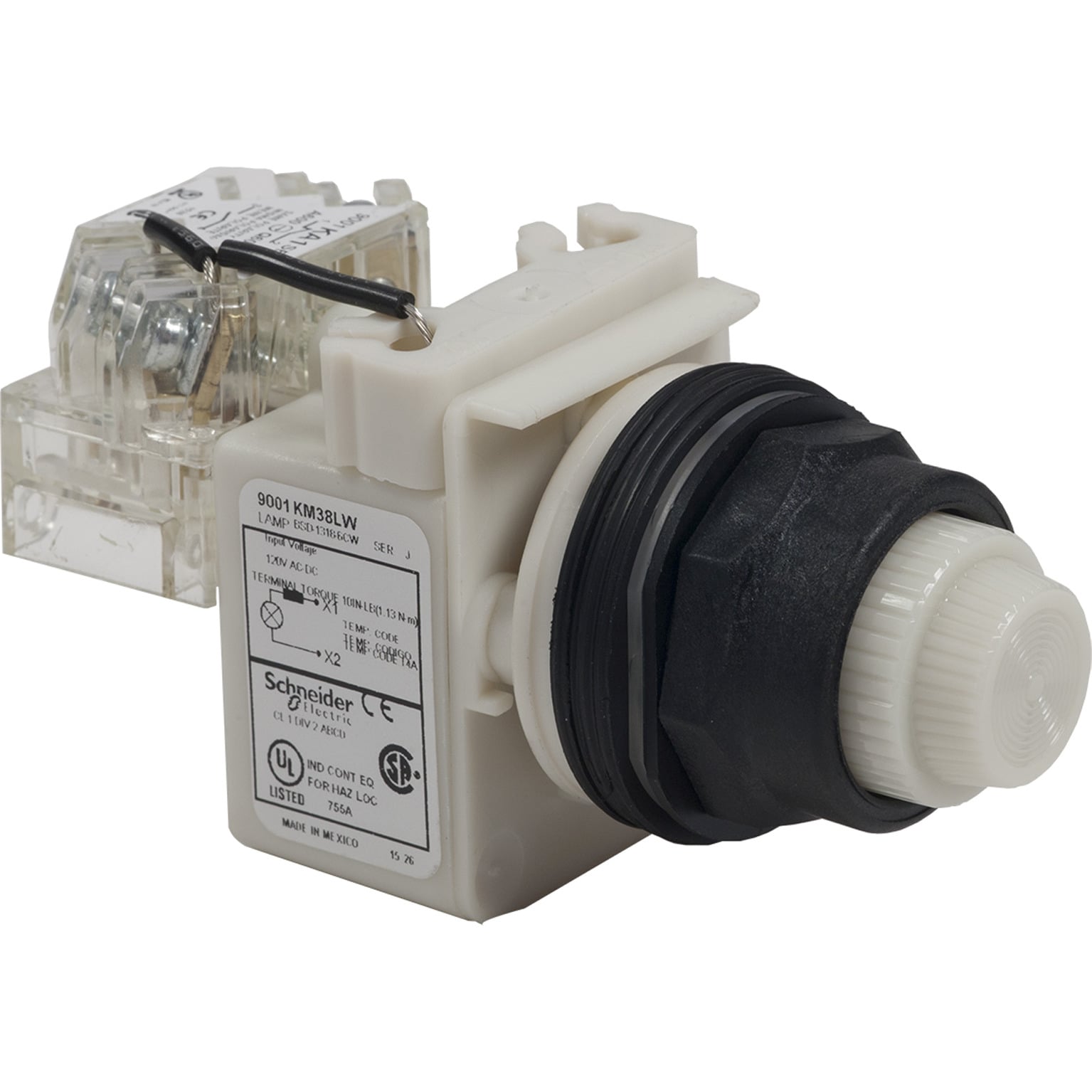 PILOT LIGHT 120V 30MM TYPE SK+OPT