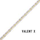 VALENT X 800 24V High Output Tape Light, 3500K - 16.4 ft. Spool