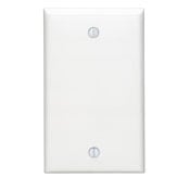 1-Gang No Device Blank Wallplate, Standard Size, Thermoplastic Nylon, Box Mount, Black