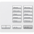 Lutron RadioRA 2 Tabletop Designer Keypad, 10 button with Raise/Lower, All On and All Off - Snow