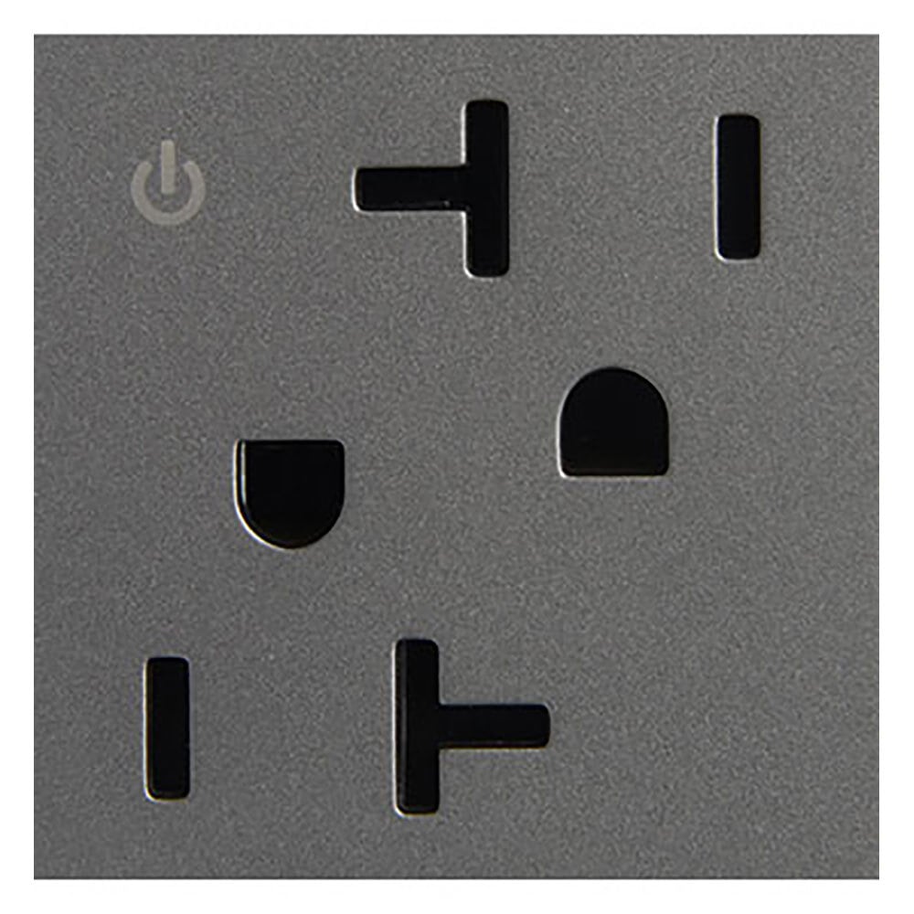 20A 125V Dual Control adorne Outlet Magnesium