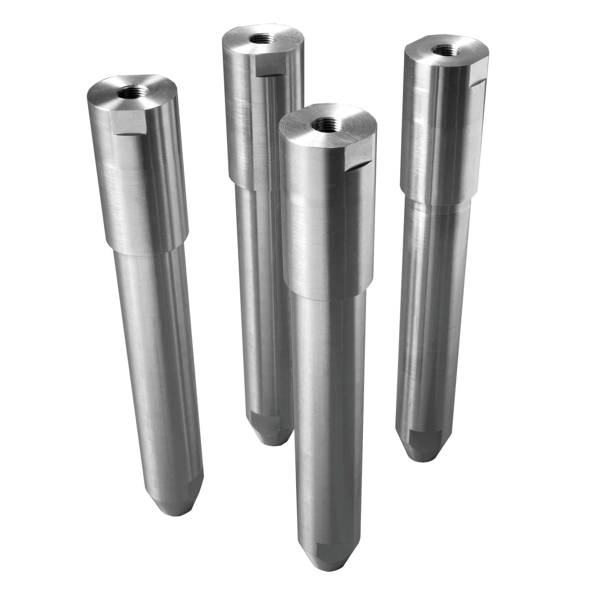 WaterShed 304 SS Sanitary Leg Kits, Type 4x, Adjustable Height for Leveling