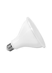 LED PAR38, 23W, Dimmable, 81CRI, 2650 Lumen, 5000K, 25000 Life, Medium Base