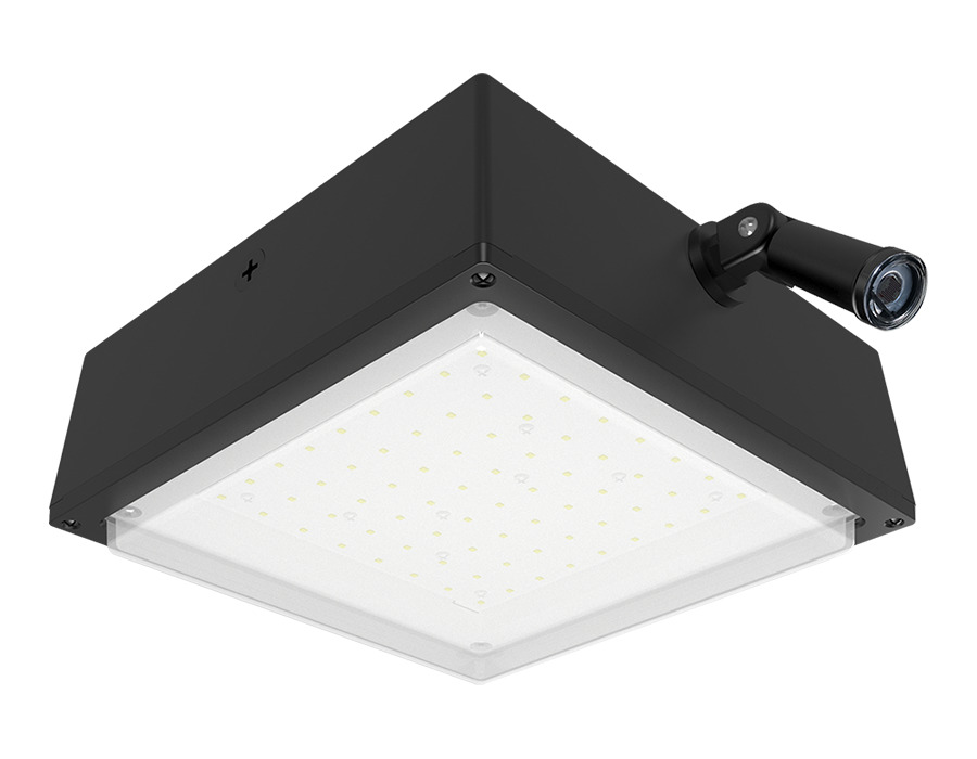 Canopy Lights 2743 Lumens Vanled 20W Frosted Lens 120V Swivel Photocell Bronze