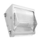 Corvus 50-Watt Outdoor LED Wallpack in White, 5000K