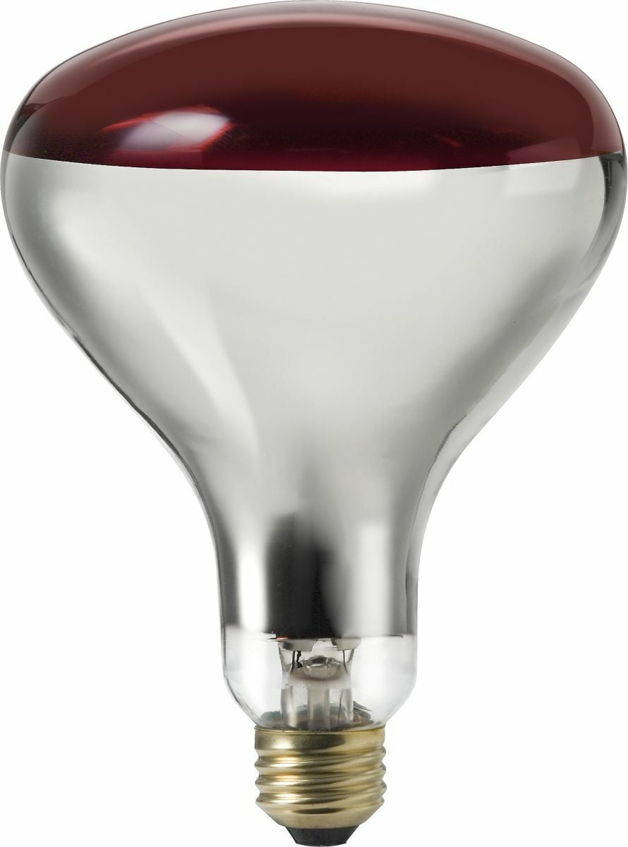 Incandescent Infrared Reflector Flood  Philips Family of Specialty Incandescents provide the perfect light for dramatic accents and display lighting as well as general lighting in a variety of applications. Philips Infrared lamps are suited for heating and drying in industrial and commercial applications. These incandescent, gas-filled infrared heat lamps come up to full temperature almost immediately, eliminating costly warm-up time. Highly efficient heat generators produce a minimum of light rays and a high amount of infrared radiation. The BR40 lamp provides a built-in reflector for radiant energy control. Available in clear and red. Comfortable warmth.;Available in: Clear 375 watt and Red 250 watt. Ideal for bathroom recessed fixtures and commercial applications.