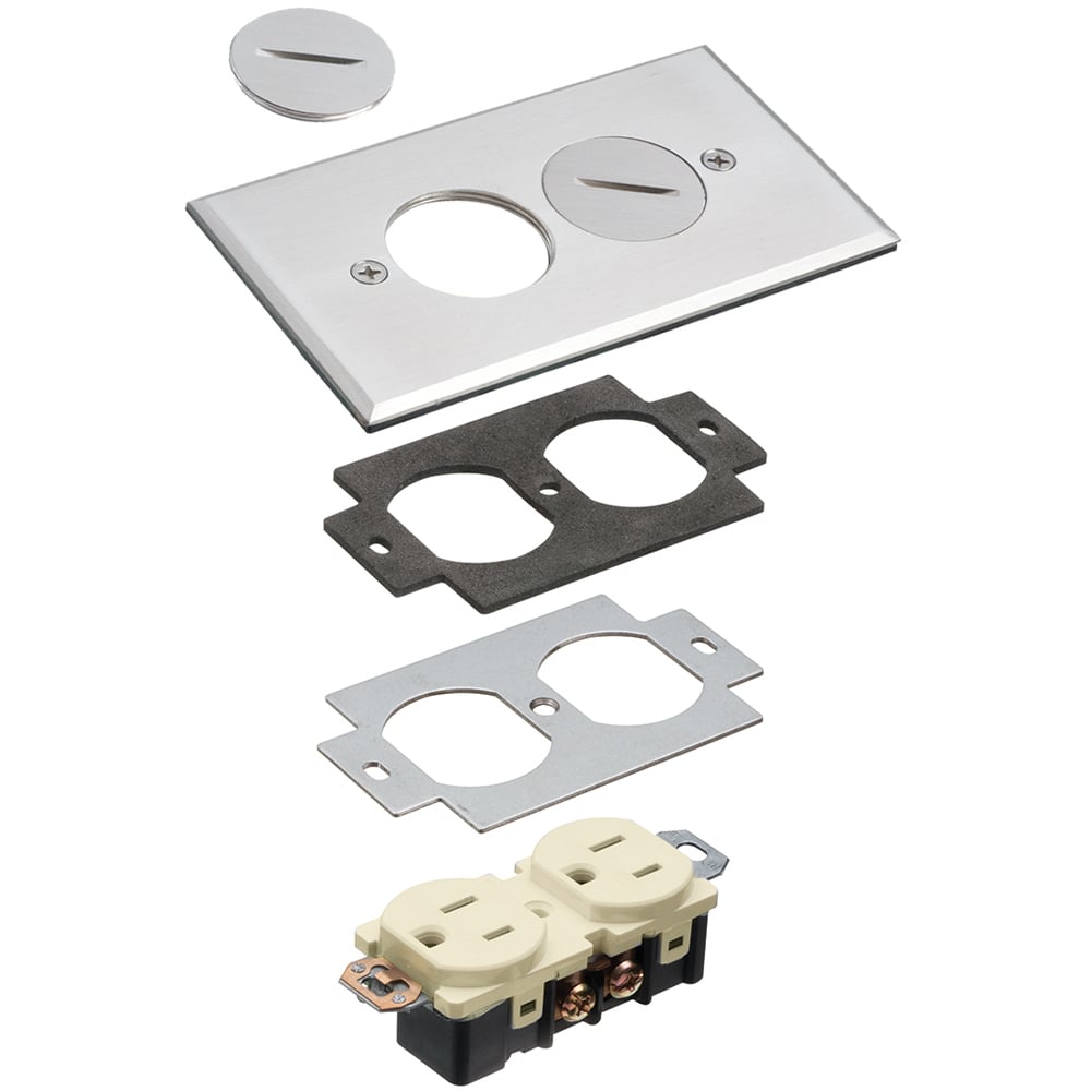 Single gang nickel cover with 2 threaded plugs.