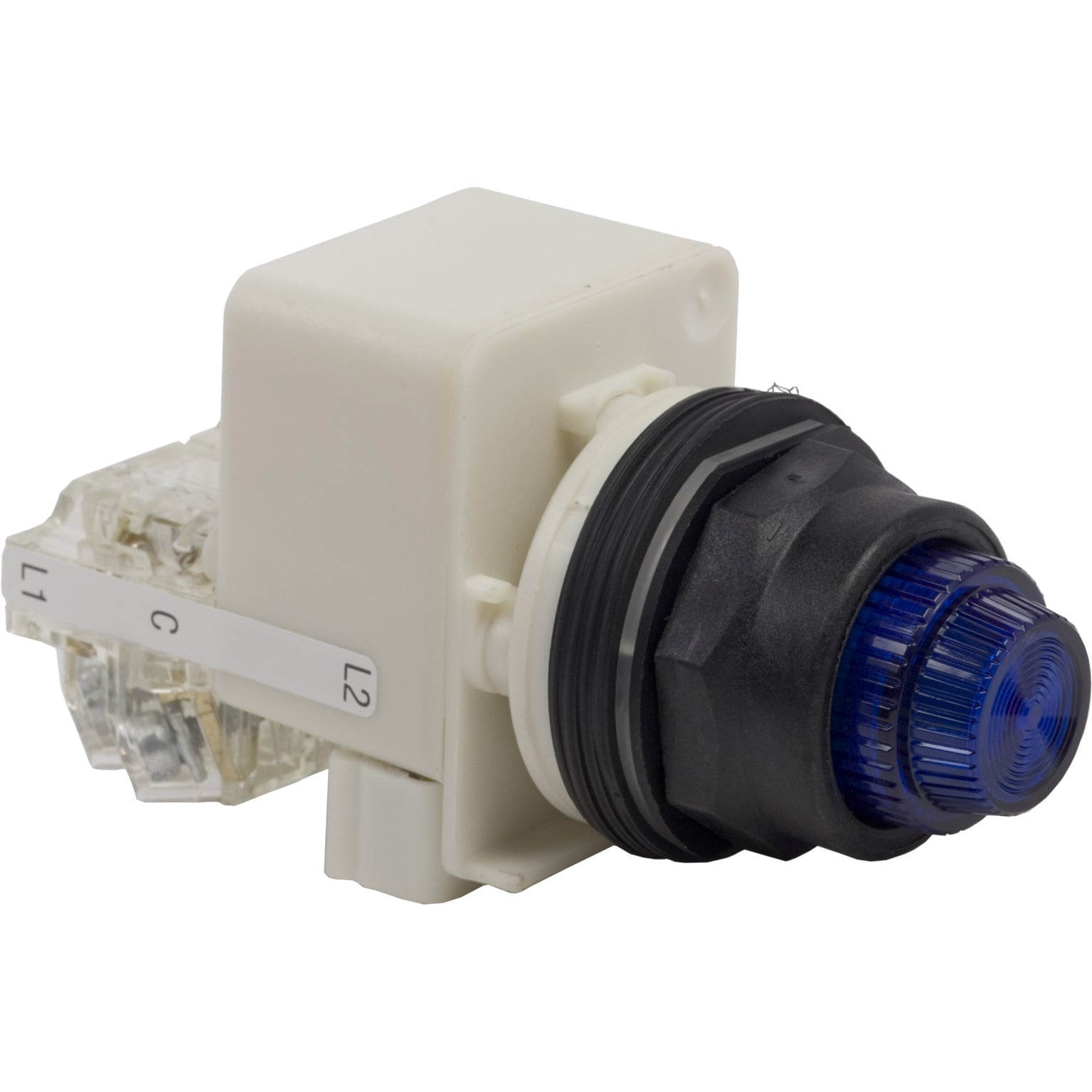 PILOT LIGHT 120V 30MM SKT +OPTIONS