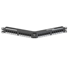 Punchdown Patch Panel, Cat 5e, Angled, 2