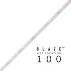 BLAZE 100 Wet Location Strip Light, 12V, 3000K, 100 ft. Spool