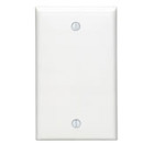 1-Gang No Device Blank Wallplate, Standard Size, Thermoplastic Nylon, Box Mount, White